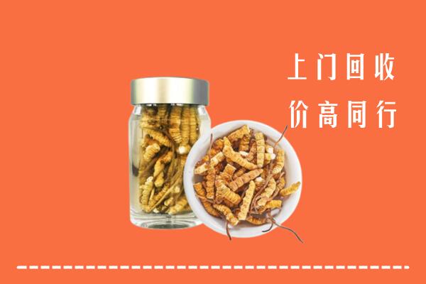 赣州高价回收冬虫夏草